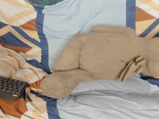 carolinagomezz live webcam show