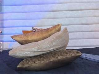 keytin-thomson webcam