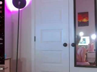 Catey Cakes Cake