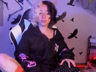 frida-lassi webcam