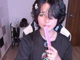 frida-lassi webcam