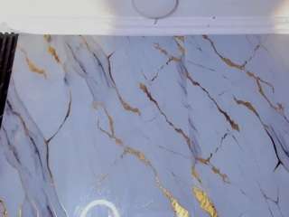 vennus-gir webcam