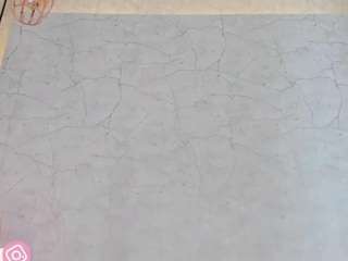 alexa-millers webcam