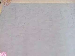 alexa-millers webcam