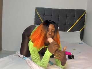 exoticnasha