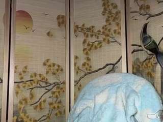 marcelinegoddess live webcam show