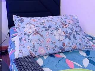 petitelittleebony