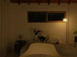 nicoleriveraa