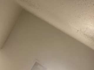 minniefairytale webcam