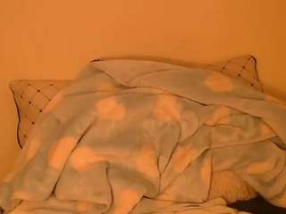 sofiasysco webcam