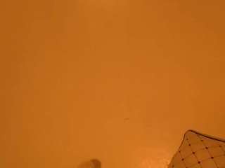 sofiasysco from CamSoda is Freechat