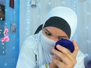 falakyasin webcam