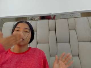 hanna-lens webcam