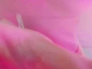 Live webcam model lissababe on Soda Cams