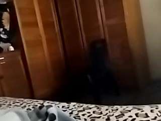 robusdick66