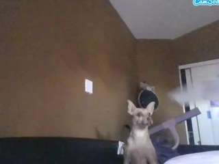 nastythaughts85 webcam