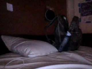 nastythaughts85