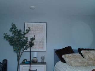 SureCakes