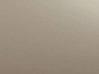 femboy808 webcam model