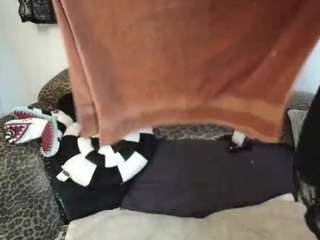 missydee live webcam show