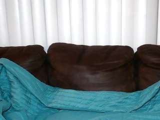 ALL GOALS MET [Multi Goal]