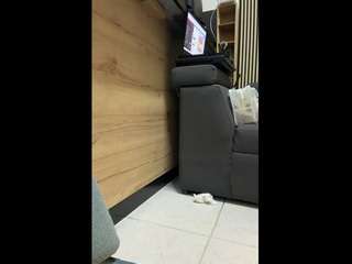 deisy-torres from CamSoda is Freechat