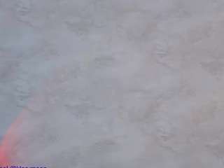  klarymoon chat room
