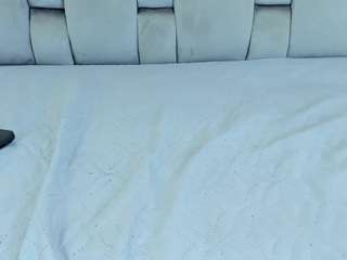 annn-scott live cam preview