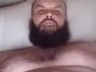 thiqd