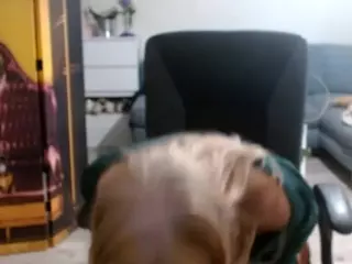 SofiaDream's Live Sex Cam Show