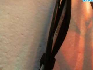 hornyalphaman86
