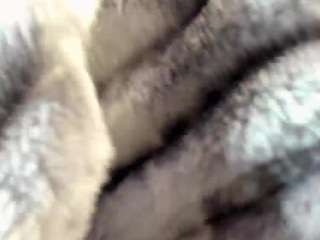 isabell2424