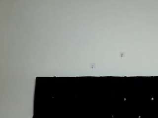 algohayvagina
