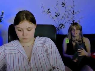 nikol-kitt