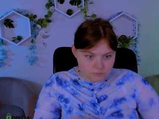 nikol-kitt