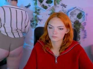 nikol-kitt