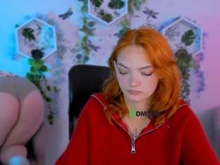 nikol-kitt