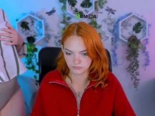 nikol-kitt
