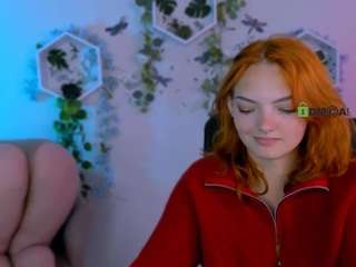 nikol-kitt
