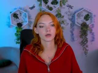 nikol-kitt
