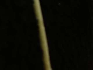 samanta-pink's CamSoda show and profile