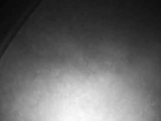 voyeurcam-casa-salsa-versus-room's Info Image