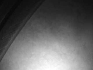 voyeurcam-casa-salsa-versus-room Modèle Webcam Profil