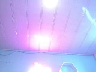 cristal-horny19