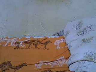  ashley-ella chat room