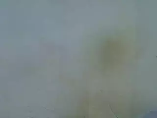 ashley-ella's Live Sex Cam Show