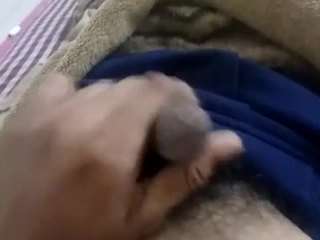 dapple082