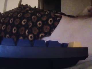 coloco121 webcam