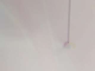 SamaraJune live cam preview