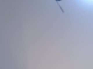 elizabetthkitty webcam